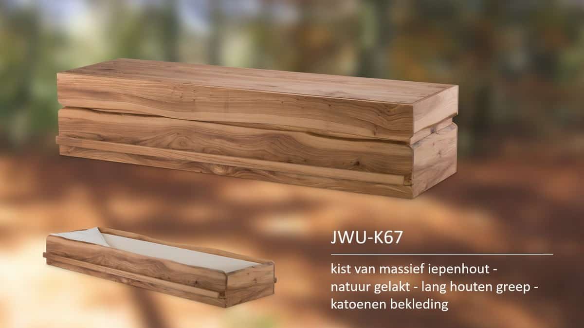 Kist van massief iepenhout natuur gelakt