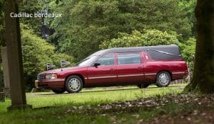 Vervoer Cadillac bordeaux