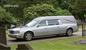 Vervoer Cadillac grijs