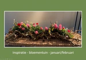 WU-inspiratie-bloementuin januari februari