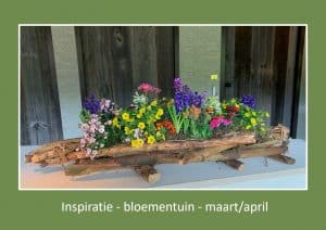 WU-inspiratie-bloementuin maart april